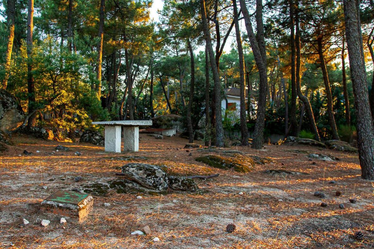 Affittacamere Casa Cadalso, Mirador De Gredos, Madrid Cadalso de los Vidrios Esterno foto